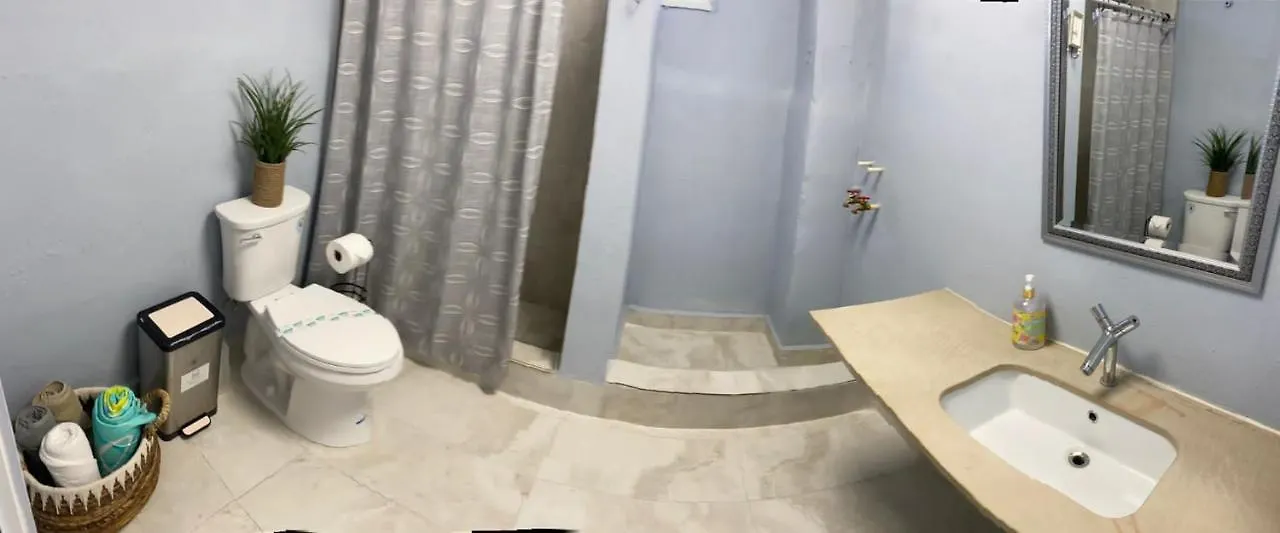 Large 9 Bedroom Home La Placita De Santurce By Rentalspr San Juan Affittacamere